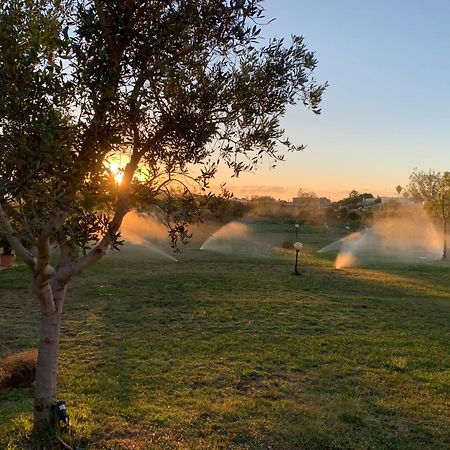 Masseria Capece Bed & Breakfast Uggiano La Chiesa Ngoại thất bức ảnh