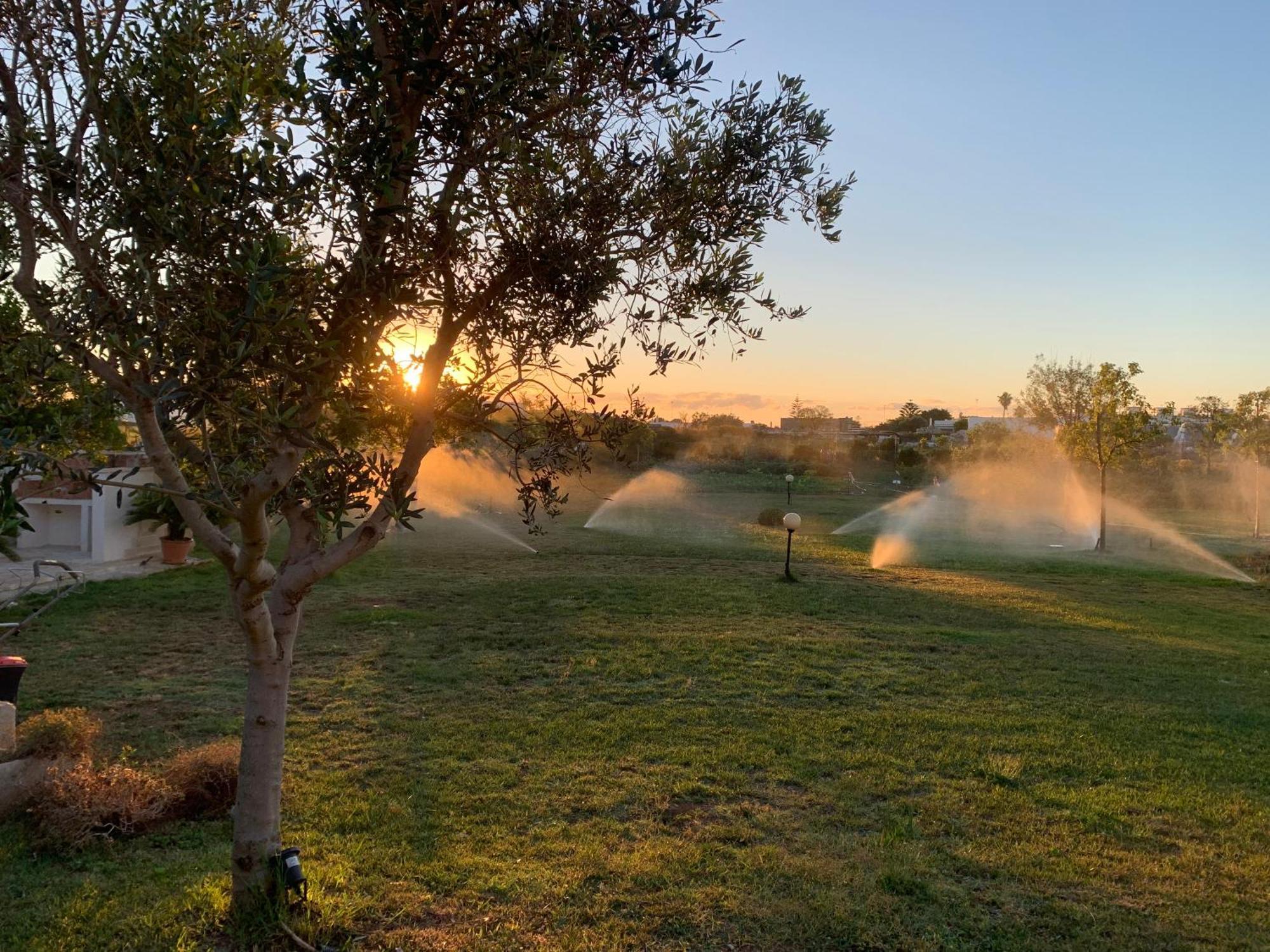 Masseria Capece Bed & Breakfast Uggiano La Chiesa Ngoại thất bức ảnh